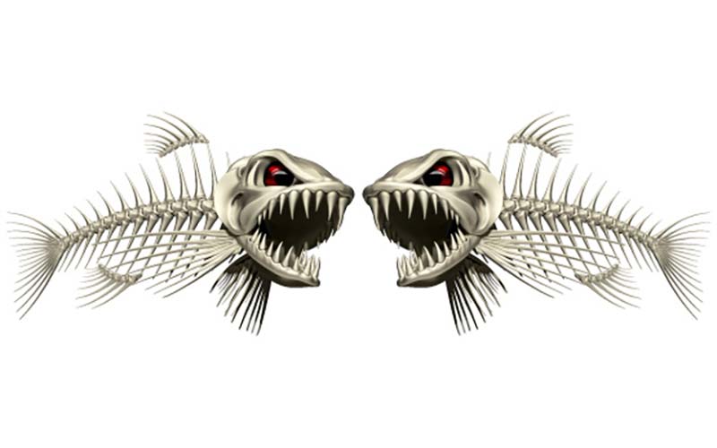 Light Bonefish Fish Graphics Set