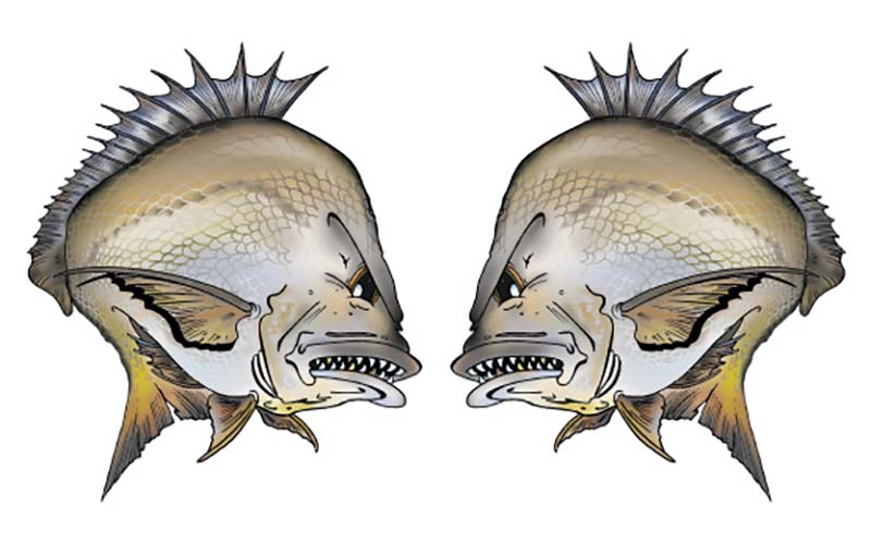 Bream Fish Graphics Set