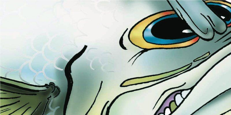 Cartoon Barra Fish Graphics Closeup