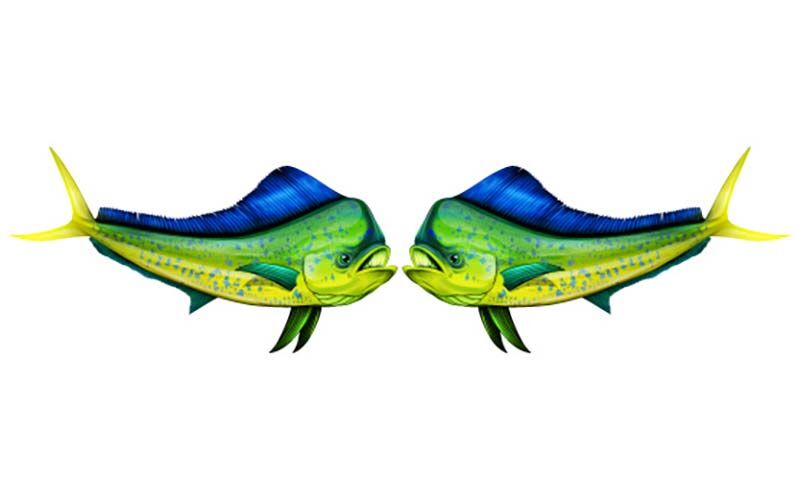 Dolphin Fish Graphics Set