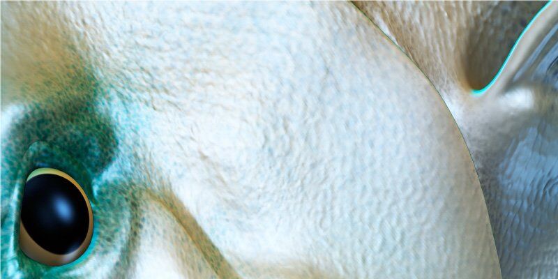 Giant Trevally Fish Graphics