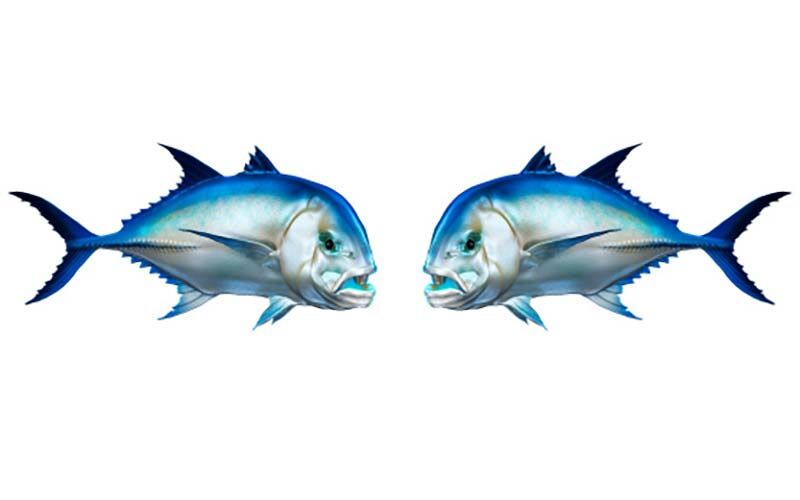 Giant Trevally Fish Graphics Set