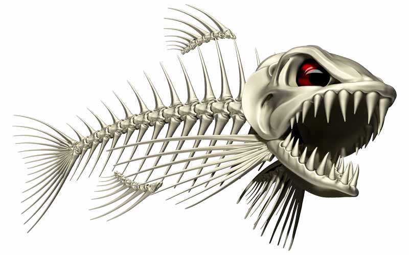 Light Bonefish Fish Graphics