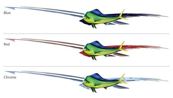 Reel Strong Boat Graphics color options