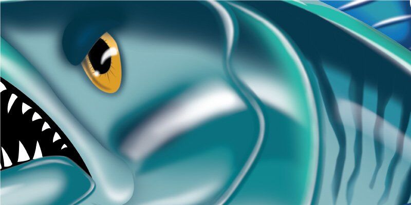 Spanish Mackerel Fish Graphics Closeup