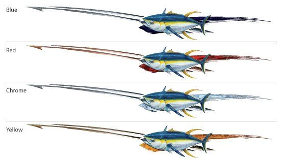 Tuna Chaser Boat Graphics color options