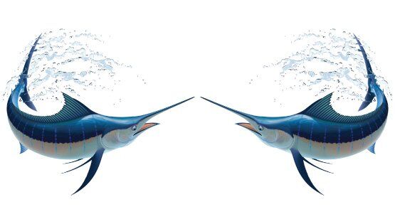 Turning Marlin Fish Graphics Set