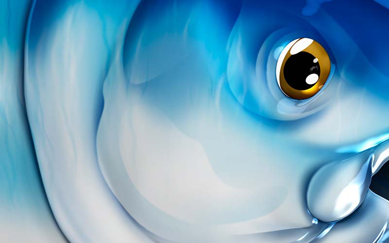 Bluefin Tuna graphics detail
