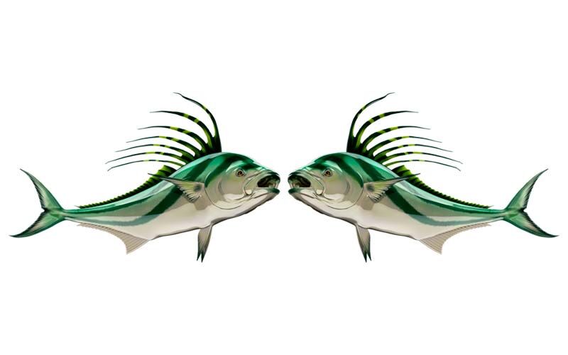 Roosterfish graphics set
